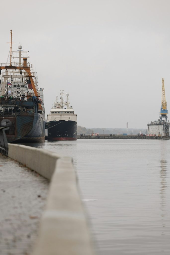 Multiple cargo ships and vessels docked in a harbor on a cloudy, overcast day in Svetly, Kaliningrad. The industrial port scene features large commercial maritime vessels at dock with gray weather conditions. Maritime transportation and shipping logistics captured in a busy international seaport setting.
