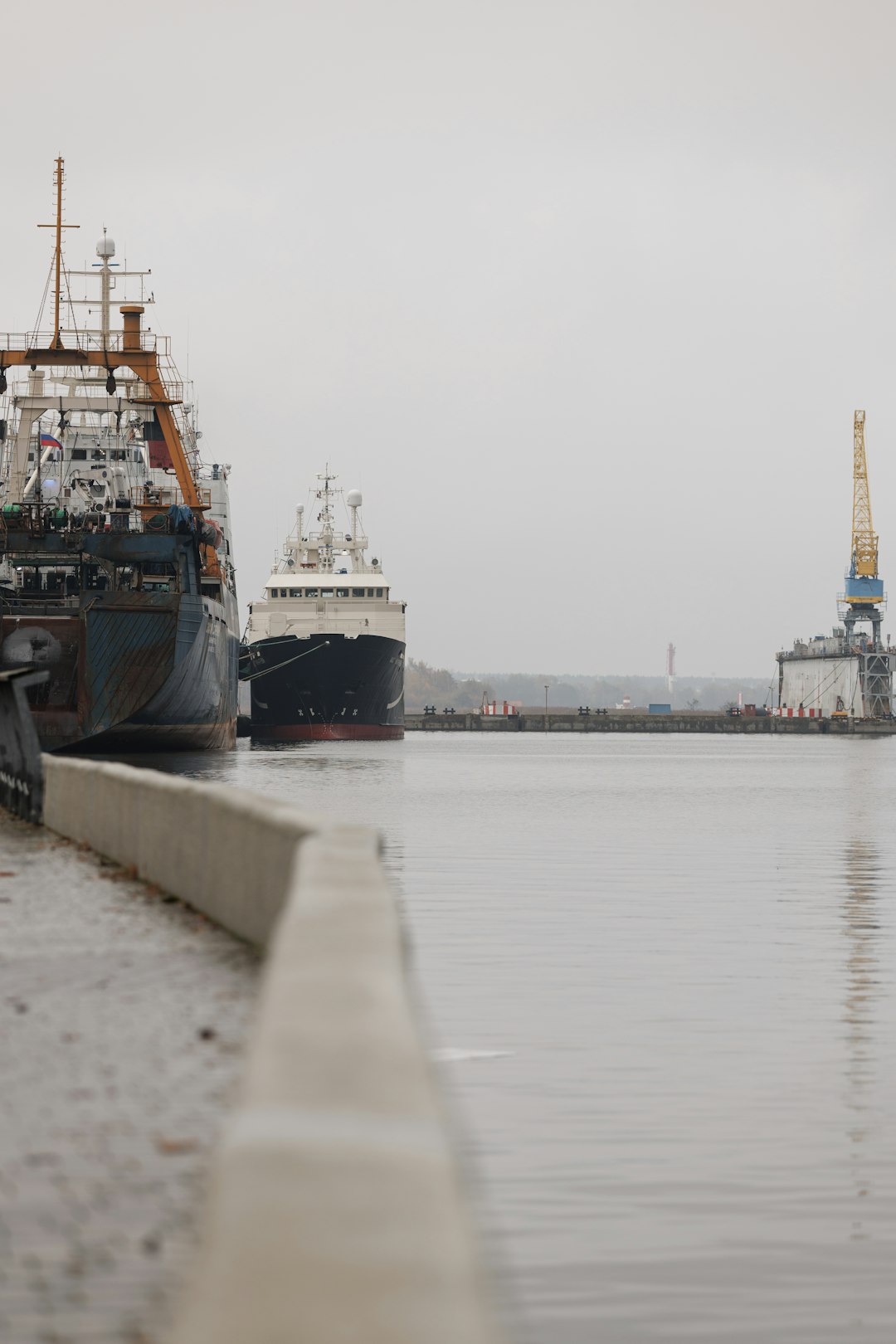 Multiple cargo ships and vessels docked in a harbor on a cloudy, overcast day in Svetly, Kaliningrad. The industrial port scene features large commercial maritime vessels at dock with gray weather conditions. Maritime transportation and shipping logistics captured in a busy international seaport setting.